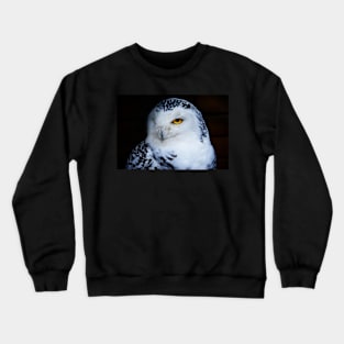 Snowy owl Crewneck Sweatshirt